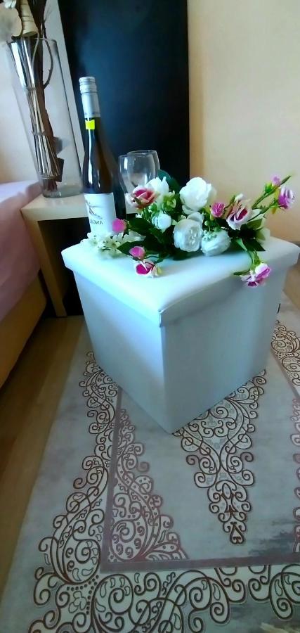 Rose & Water Guest House Pavel Banya Exterior photo